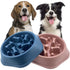 Slow Feeder Design Bowl